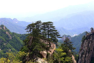 大王叫我来巡山 我先来这里转一转