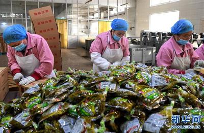 河南郏县:乡村复工生产忙