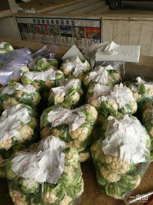 菜花河南平顶山汝州市_批发_供应-一亩田农业网_专业的农产品信息商务平台