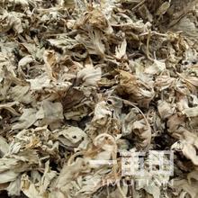 任笑笑的农产品批发/采购