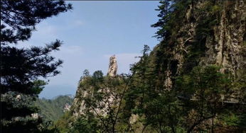 第十五届尧山杜鹃花节送优惠 ,护士节 母亲节尧山景区免门票
